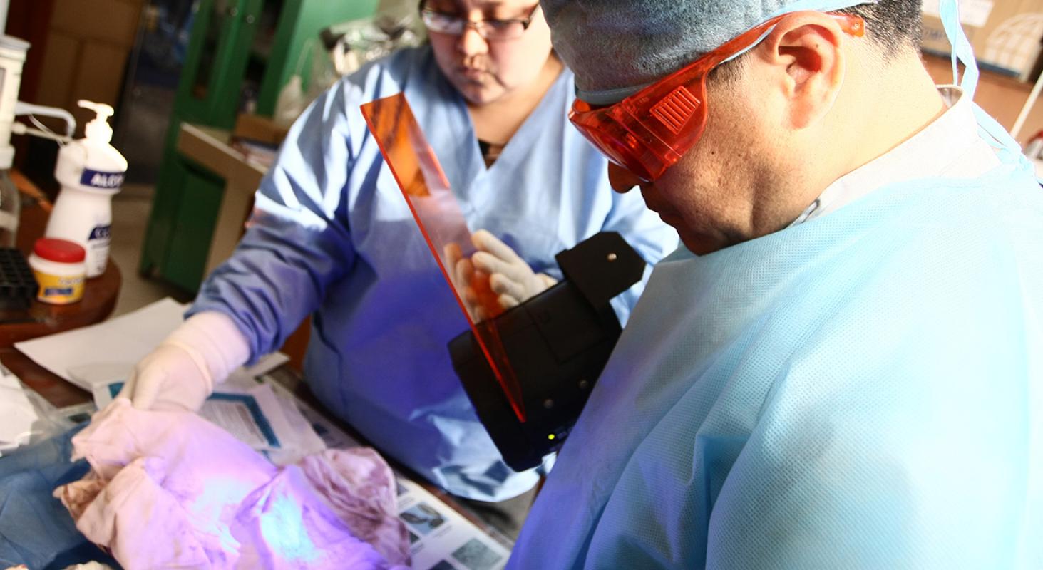 Toxicología Forense para Enfermería