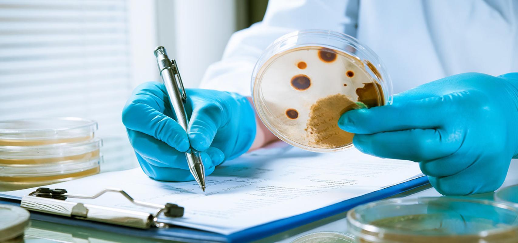 Enfermedades Infecciosas y Tratamiento Antimicrobiano