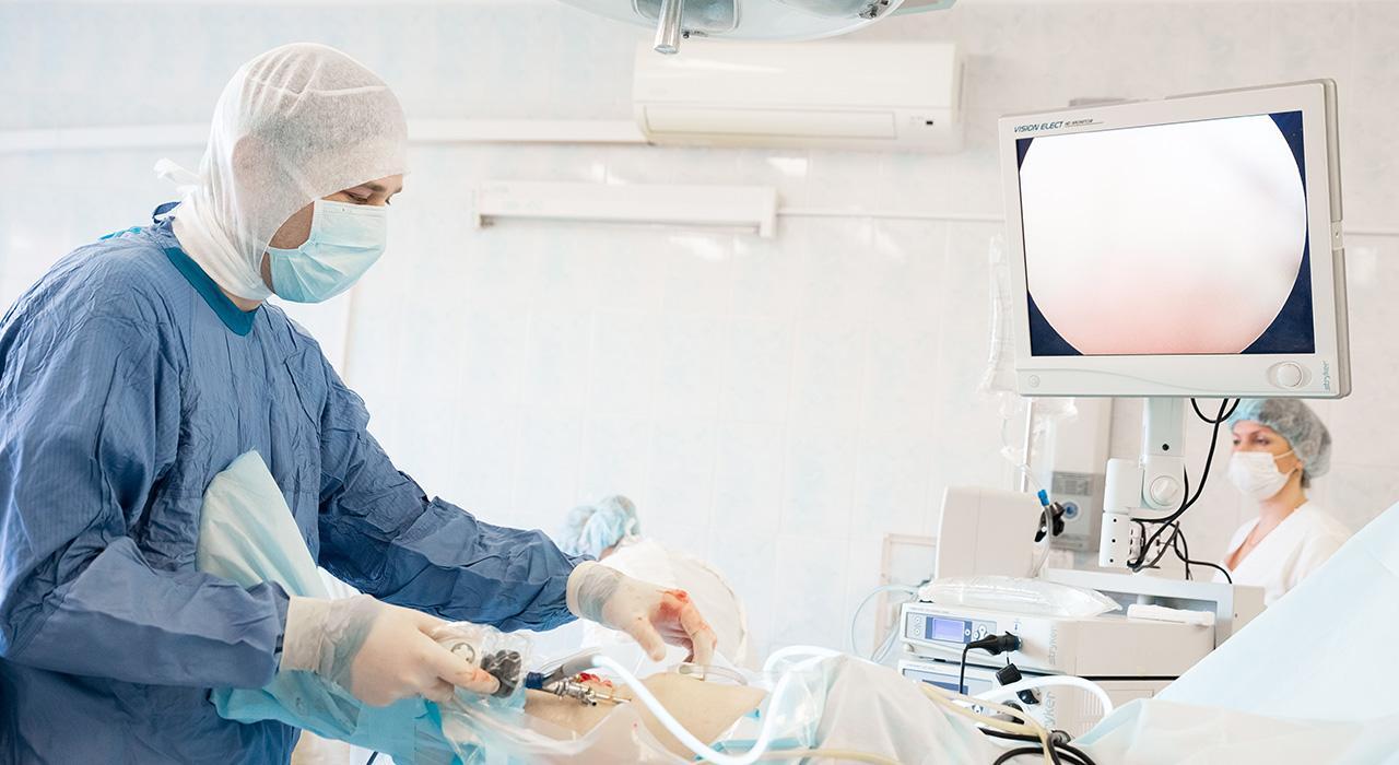 Experto Universitario En Radiologia Vascular Intervencionista 5197