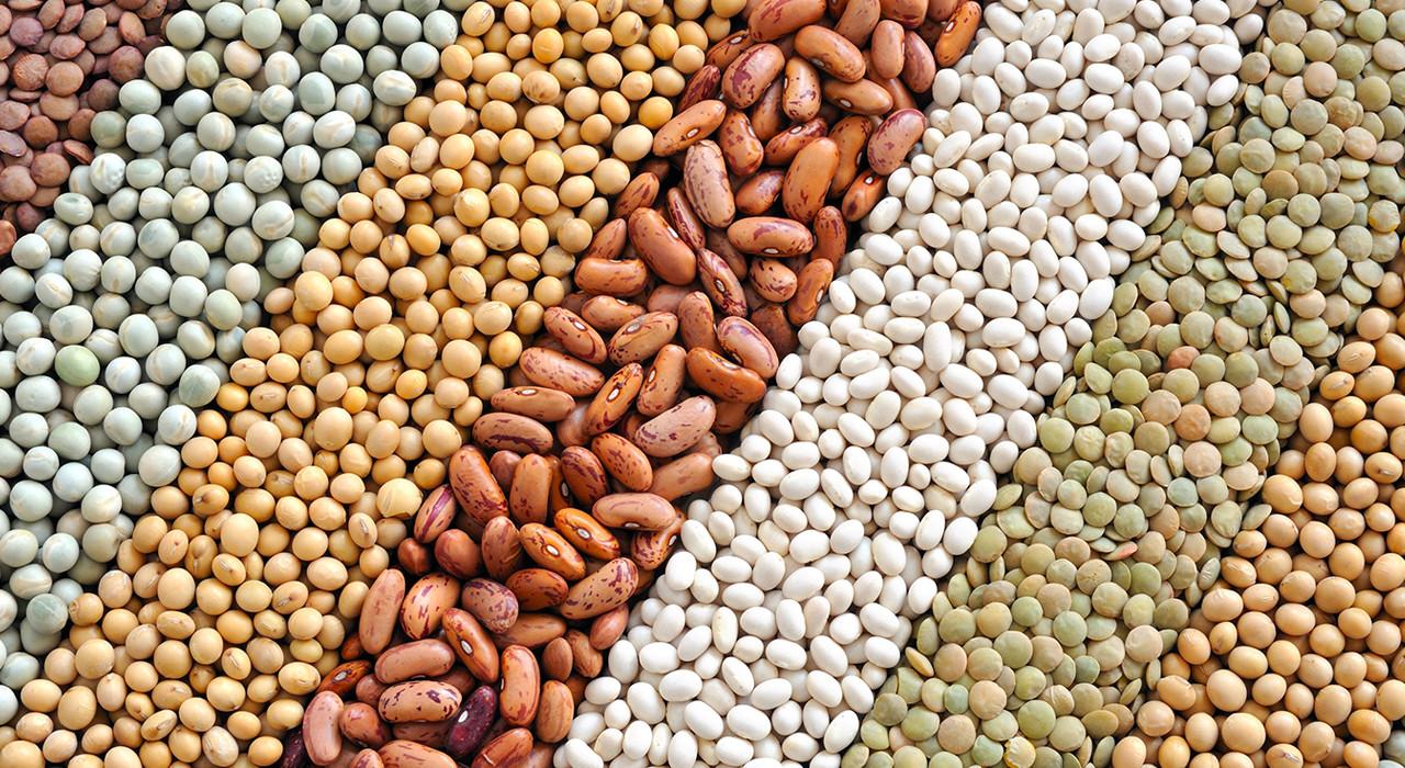 novedoso sistema de administración de medicamentos a base de plantas para la diabetes
