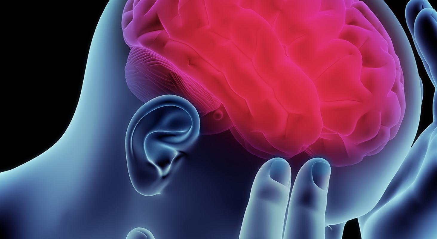 Neuroanatomía y Trastornos Mentales