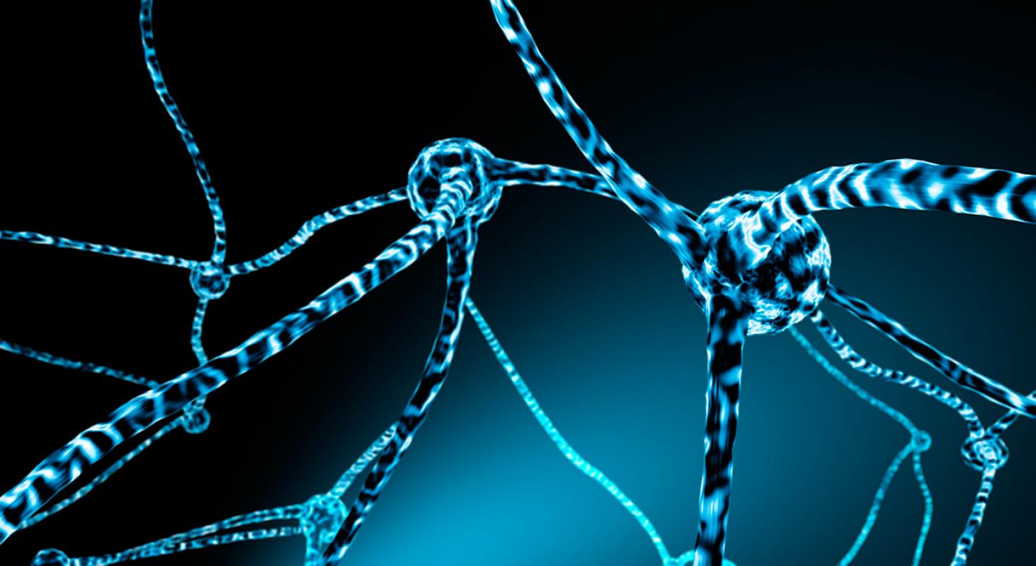 Neuropsicología Clínica