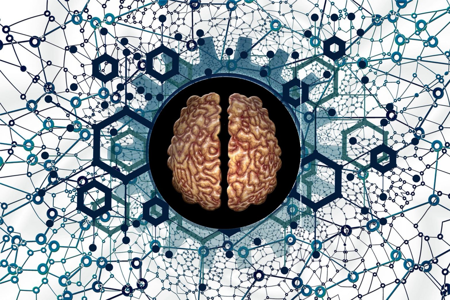 el cerebro cuenta con gran cantidad de conexiones