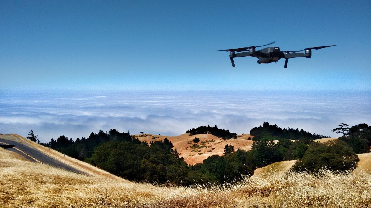 Drones en ecosistemas