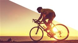 especializacion profesional gestion planificacion Tech Universidad