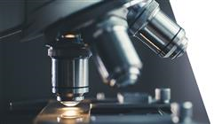 grado superior anatomia patologica Tech Universidad