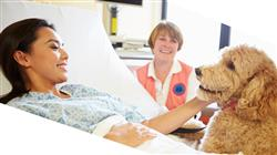 master especializacion profesional intervencion asistida caninos equinos aves animales convencionales Tech Universidad