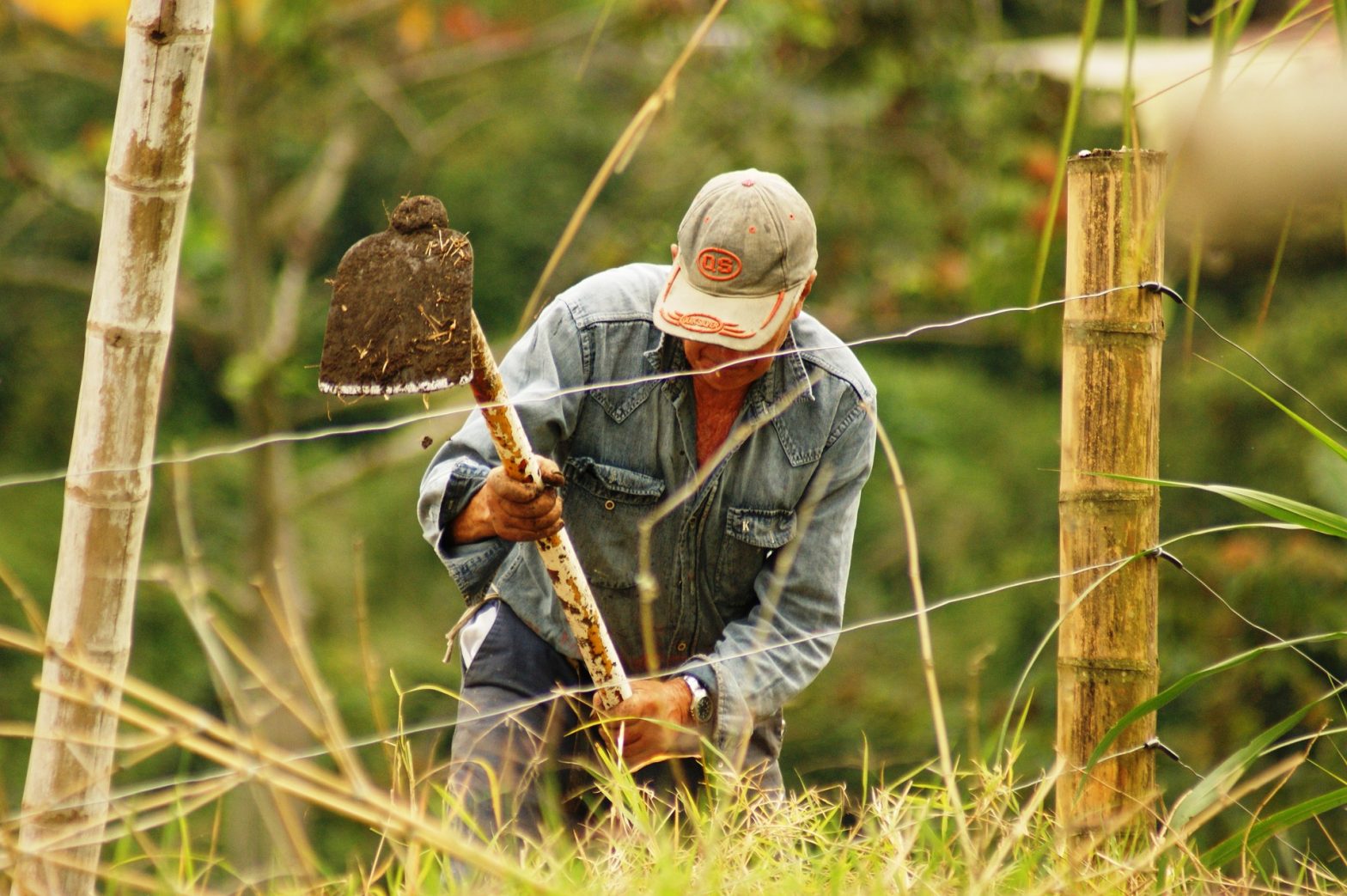 Agricultor