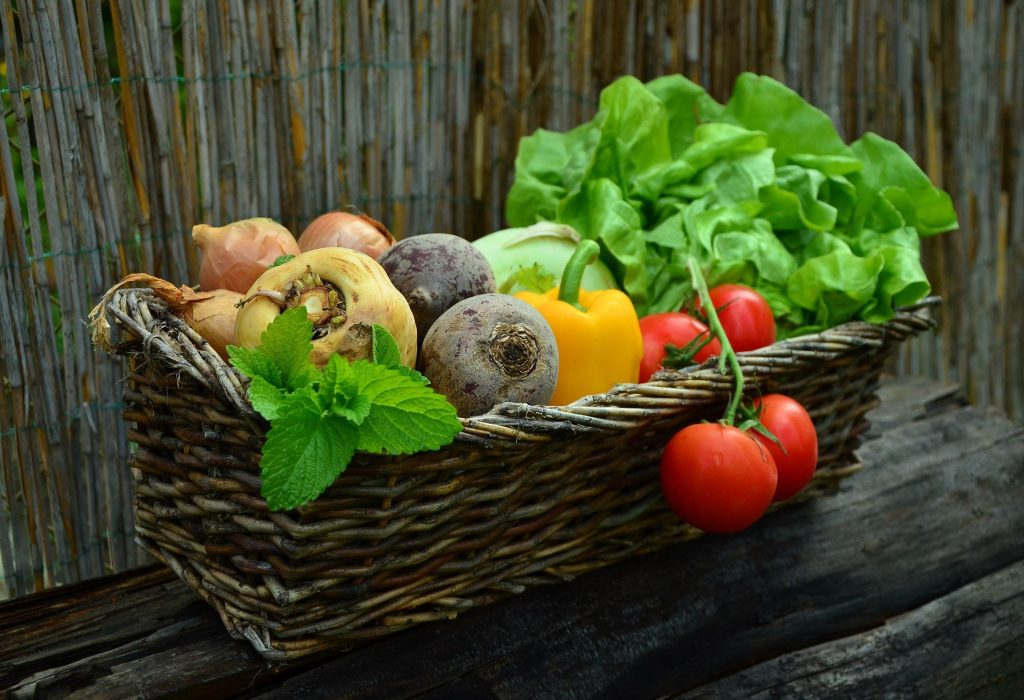 Las políticas y leyes en seguridad alimentaria en el mundo están siendo actualizadas para nuestro bienestar