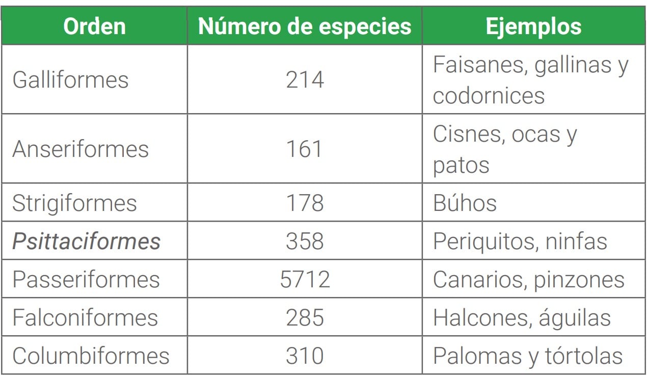 Clasificación Taxonómica De Las Aves Blog Tech Universidad Tecnológica 0176