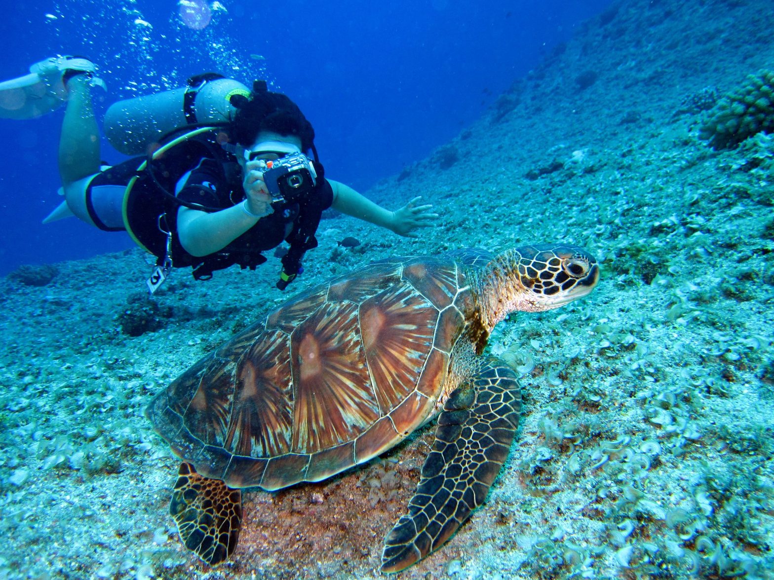 Historia del buceo