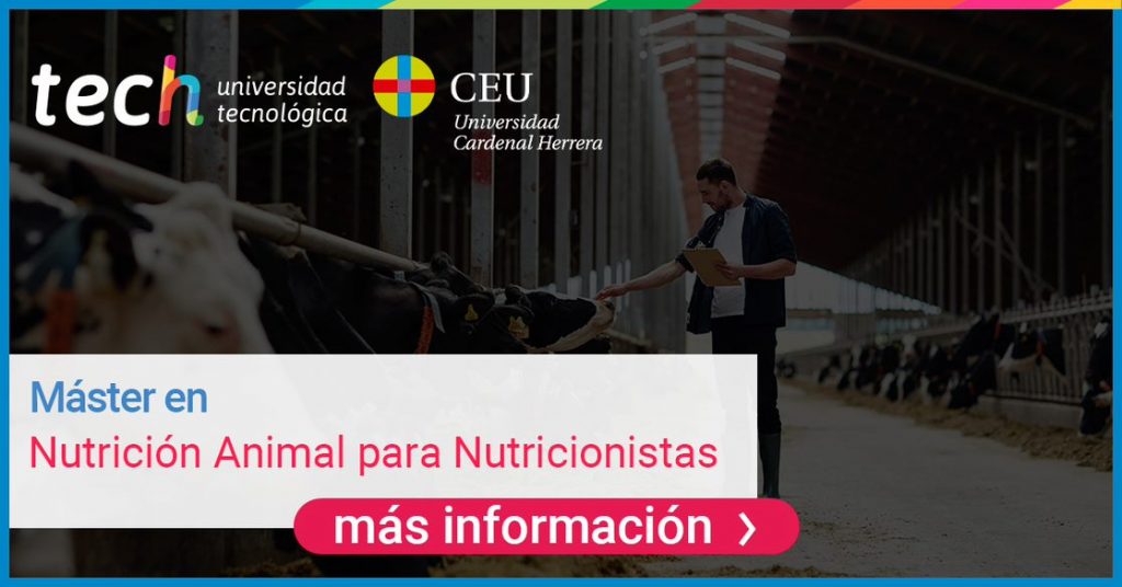 TECH Colombia - Blog TECH Universidad Tecnológica TECH Colombia - Blog TECH Universidad Tecnológica