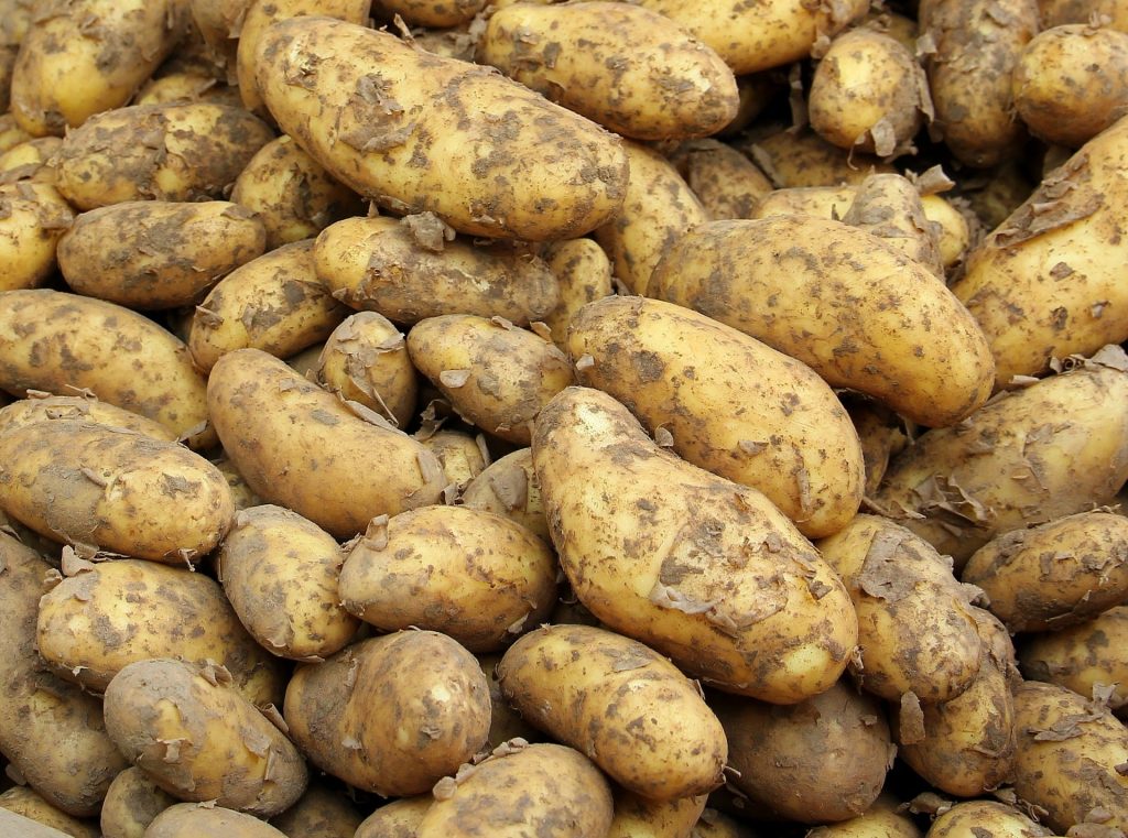 El saber qué son los nuevos alimentos permite a un profesional desempeñar una labor en nutrición adecuada.
