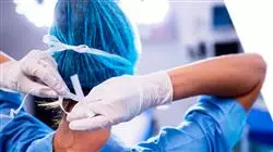 diplomado online nuevas vias investigacion enfermedad inflamatoria intestinal