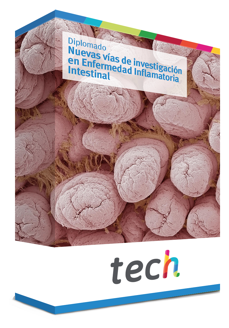 diplomado nuevas vias investigacion enfermedad inflamatoria intestinal caja