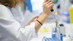 ##IMAGE##
