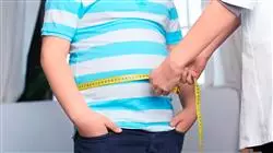 especializacion online fisiopatologia etiopatogenia epidemiologia obesidad