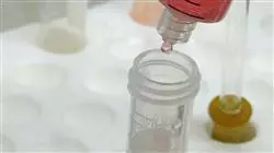 ##IMAGE##