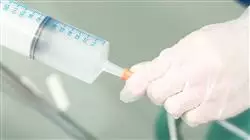 ##IMAGE##