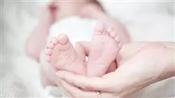 ##IMAGE##