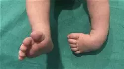 ##IMAGE##
