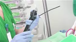 ##IMAGE##
