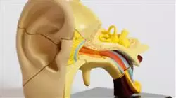 ##IMAGE##