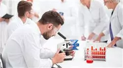 ##IMAGE##