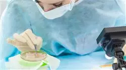 ##IMAGE##