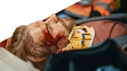 ##IMAGE##