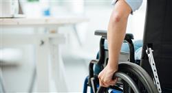 curso online nutricion deportiva paradeportista Tech Universidad