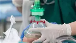 ##IMAGE##
