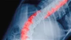 ##IMAGE##