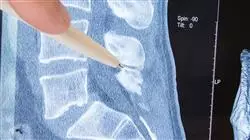 ##IMAGE##