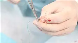 ##IMAGE##