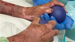 ##IMAGE##