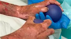 ##IMAGE##