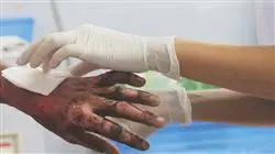 ##IMAGE##