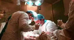 especialización cirugía ortopédica y traumatología de pelvis cadera fémur y ortopedia infantil