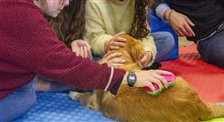 cursos intervención logopédica asistidas por animales