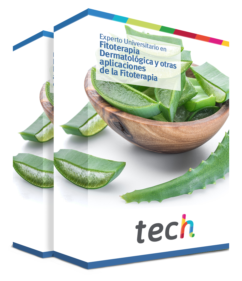 especializacion fitoterapia dermatologica otras aplicaciones fitoterapia caja