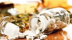 cursos fitoterapia trastornos endocrinos metabolicos aparato digestivo