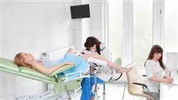 cursos fitoterapia afecciones ginecologicas sistema urinario
