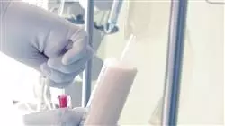 ##IMAGE##