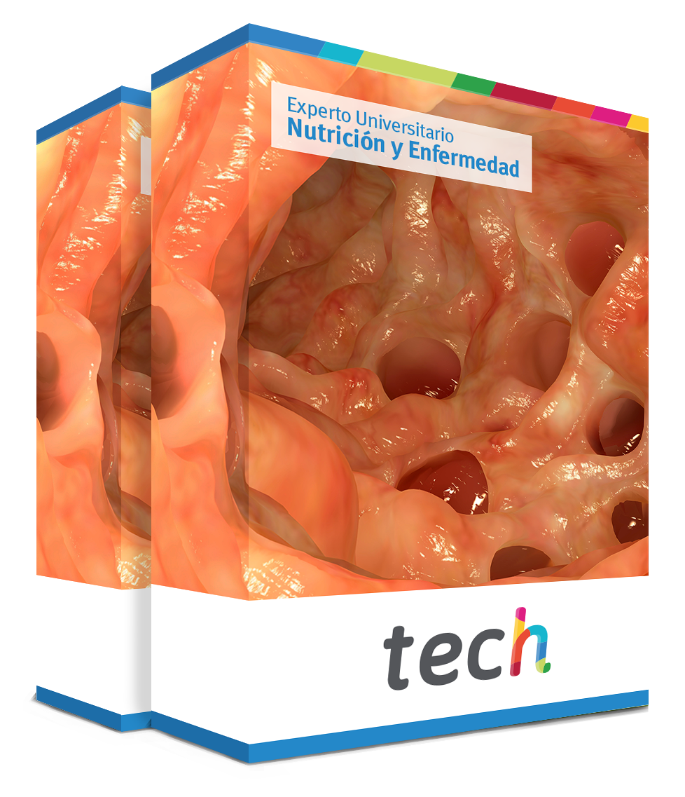 especializacion nutricion enfermedad medicina caja