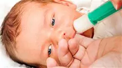 cursos endocrinologia nutricion infantil medicina