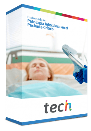 courseInfo