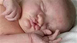 ##IMAGE##