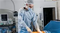 cursos cirugia remodelacion corporal
