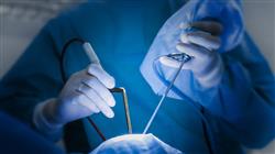 curso online cirugia estetica region glutea Tech Universidad
